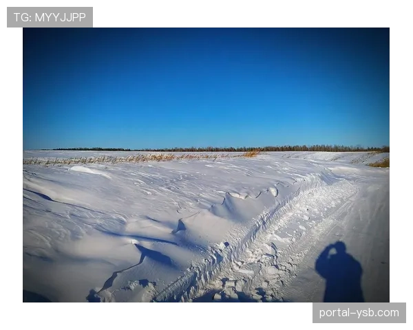 为应对可能出现的极端天气,雷恩俱乐部测试可快速开合的球场顶棚备用电源系统 为应对可能出现的极端天气,雷恩俱乐部测试可快速开合的球场顶棚备用电源系统